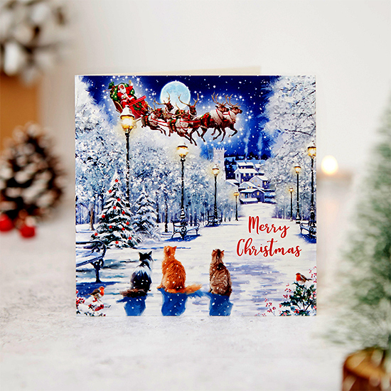 Cats protection on sale christmas shop