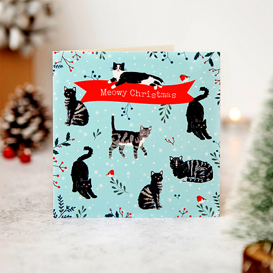 Feline festive 10 cards