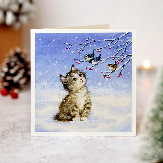 Kitty's first snow 10 cards