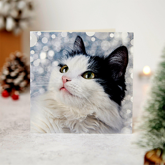Sparkles 10 cards
