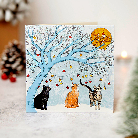 By the light of the moon 10 cards