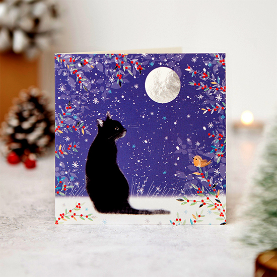 The moon and us 10 cards