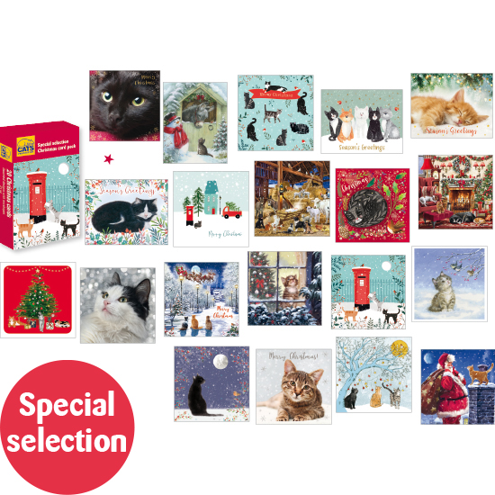 Special selection card pack (2023) 20 cards