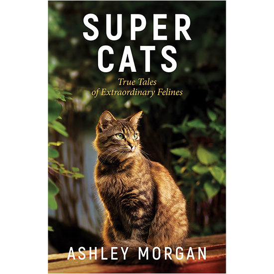 Super Cats Book