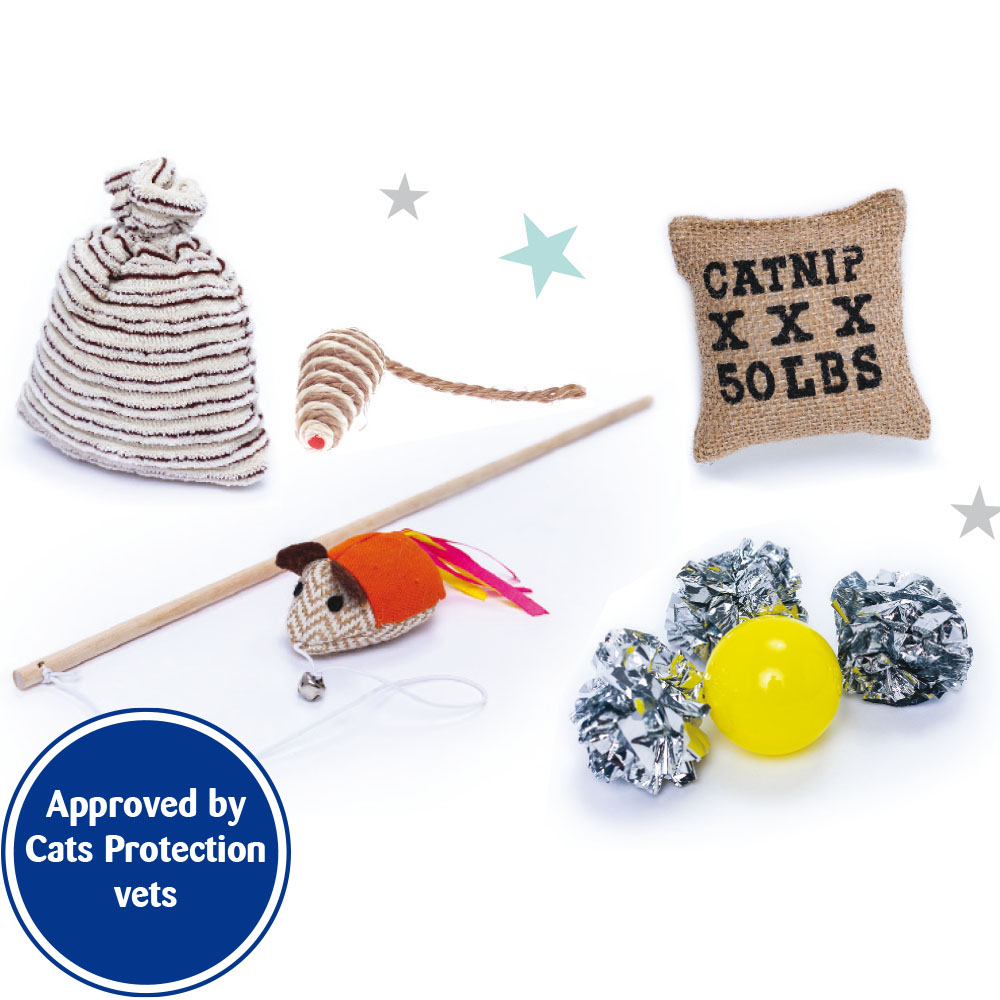 Playful cat bundle