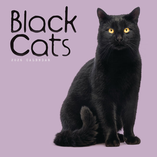 Black cats wall calendar 2026