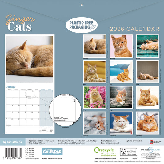 Ginger cats wall calendar 2026