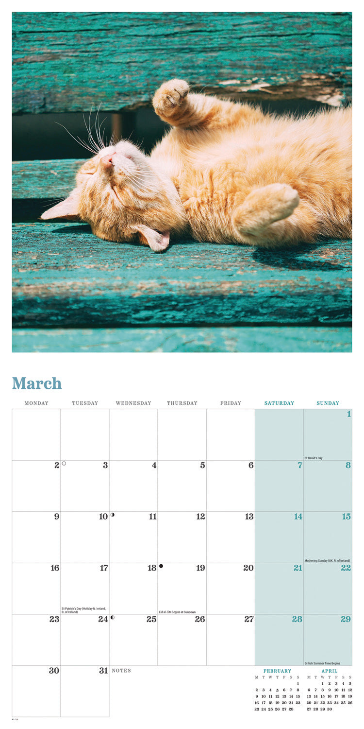 Ginger cats wall calendar 2026