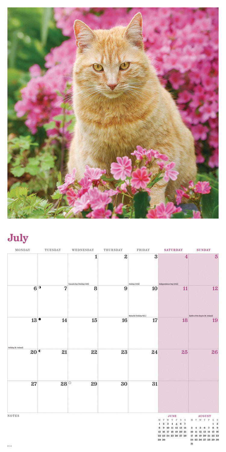Ginger cats wall calendar 2026