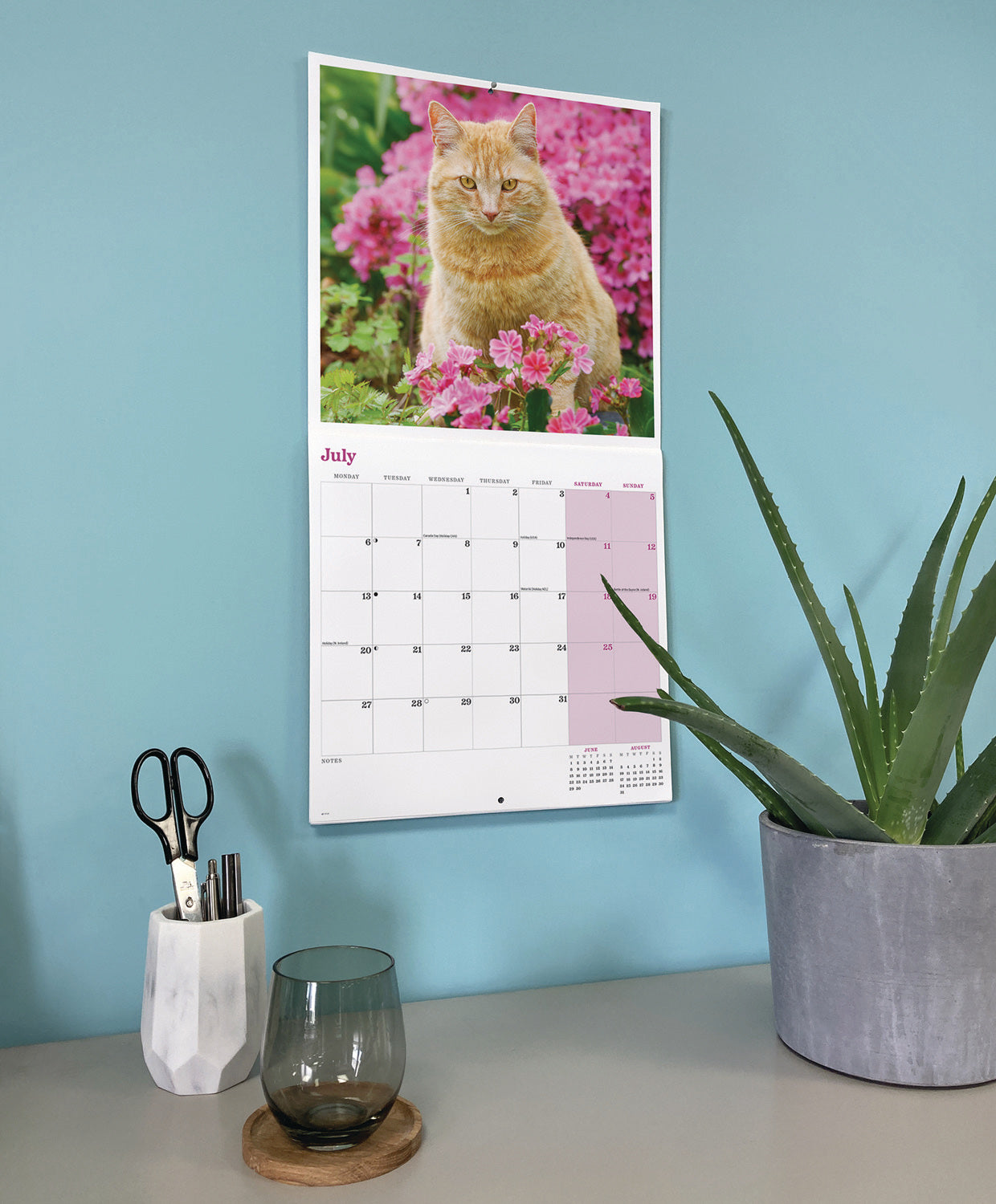 Ginger cats wall calendar 2026