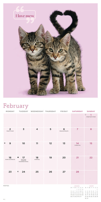 Cute Cats Wall Calendar 2026