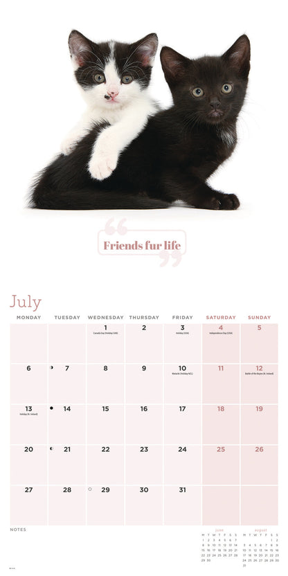 Cute Cats Wall Calendar 2026