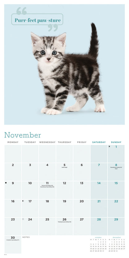 Cute Cats Wall Calendar 2026