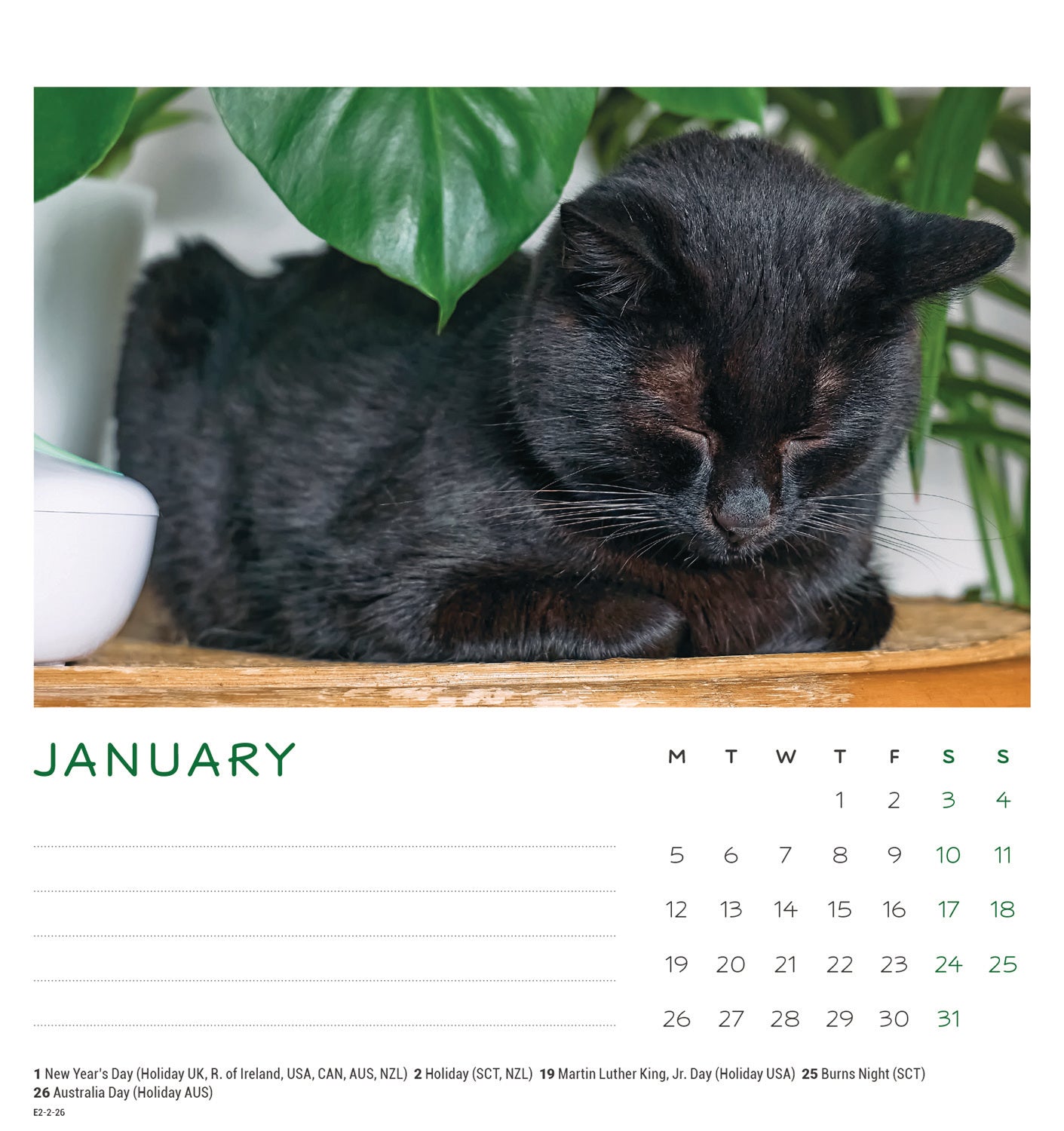 Cat naps easel desk calendar 2026