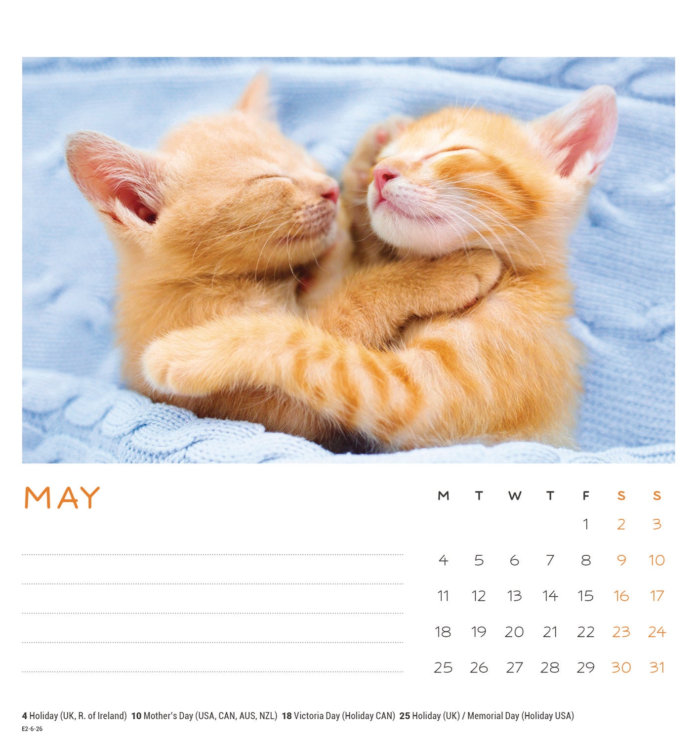Cat naps easel desk calendar 2026