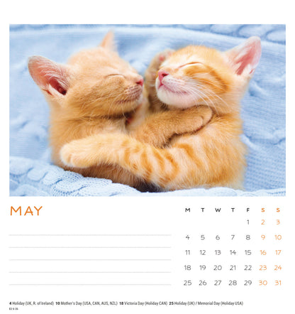 Cat naps easel desk calendar 2026