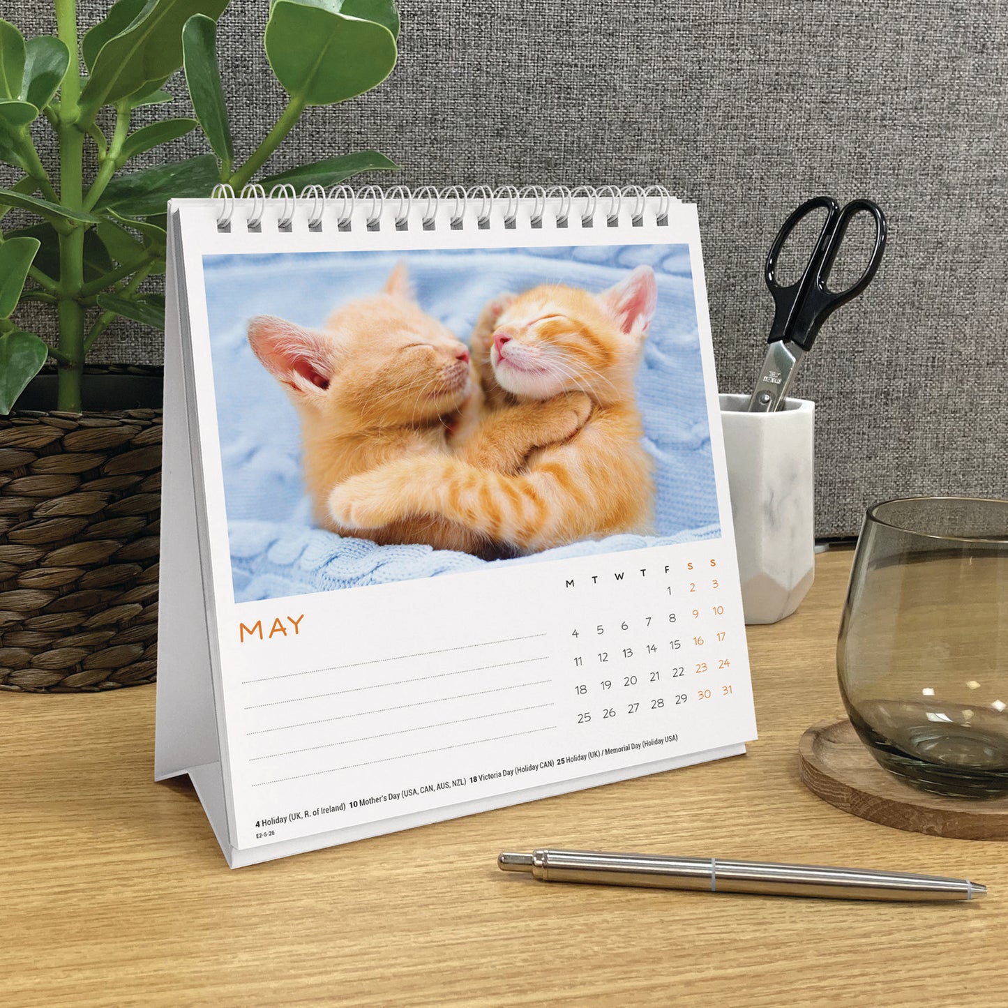 Cat naps easel desk calendar 2026