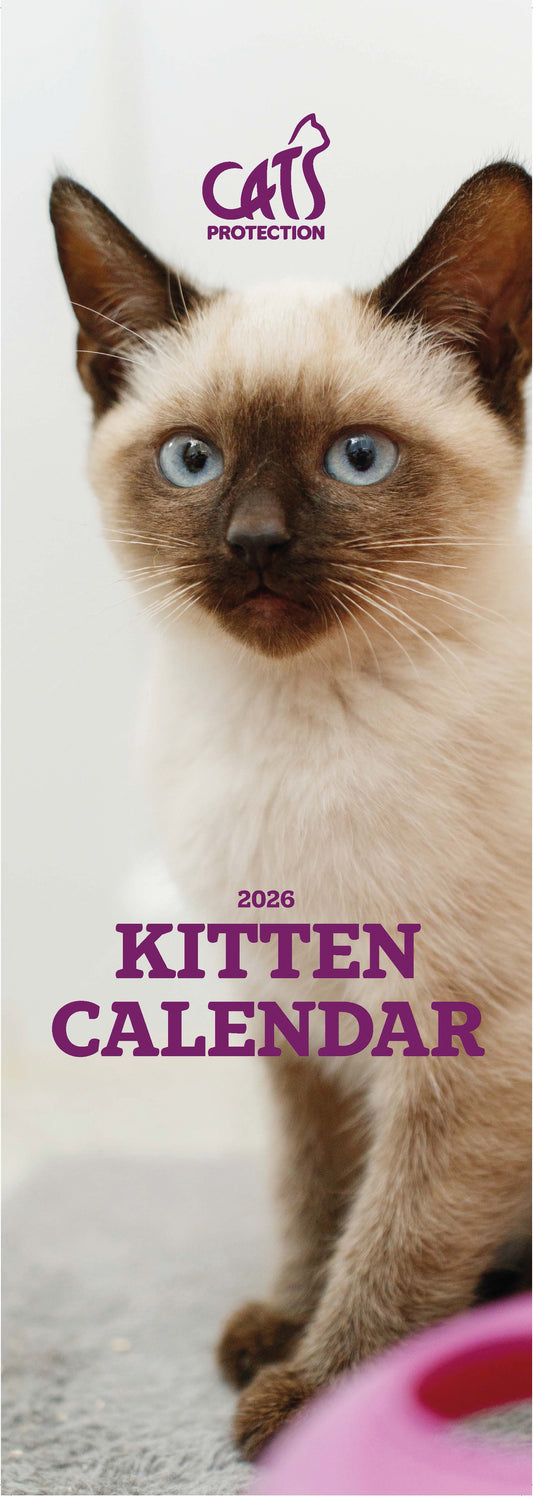Cats Protection kittens slim calendar 2026