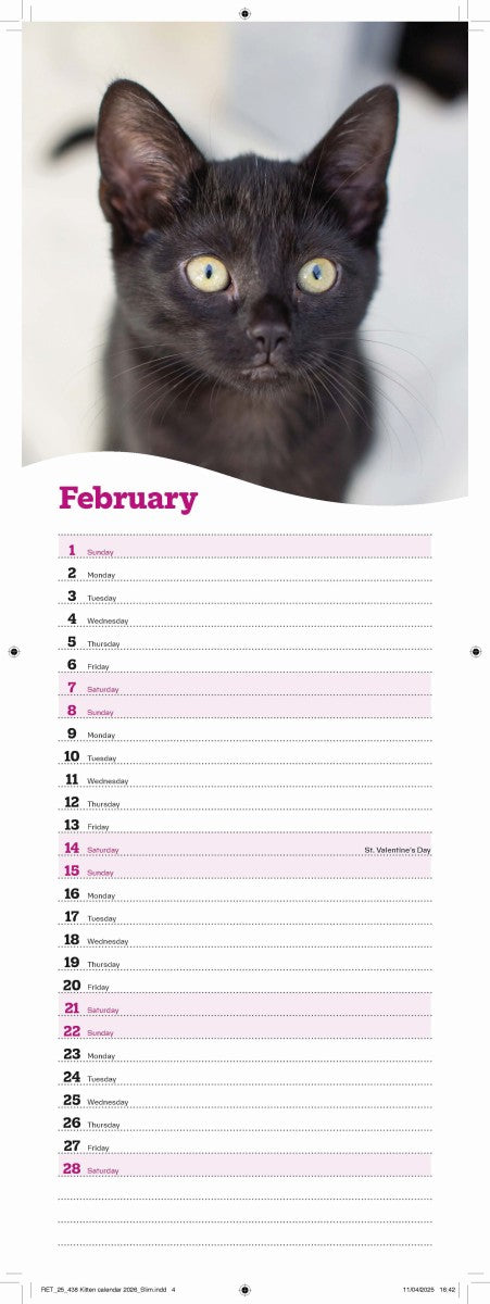 Cats Protection kittens slim calendar 2026