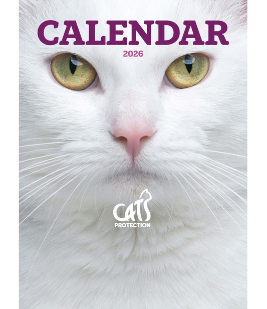 Cats Protection cats calendar 2026