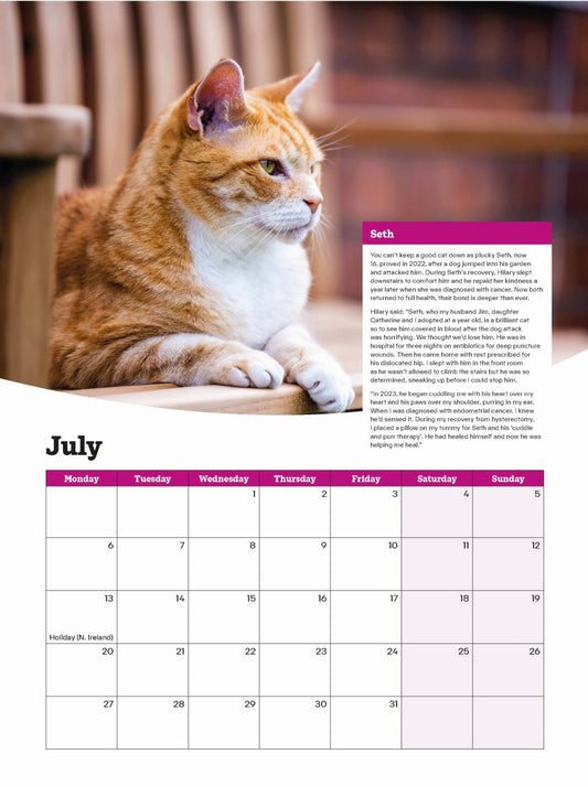 Cats Protection cats calendar 2026