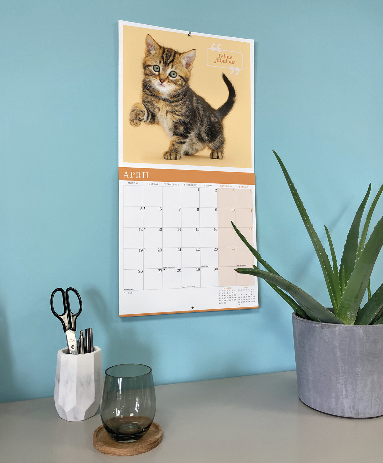 Cute cats wall calendar 2027