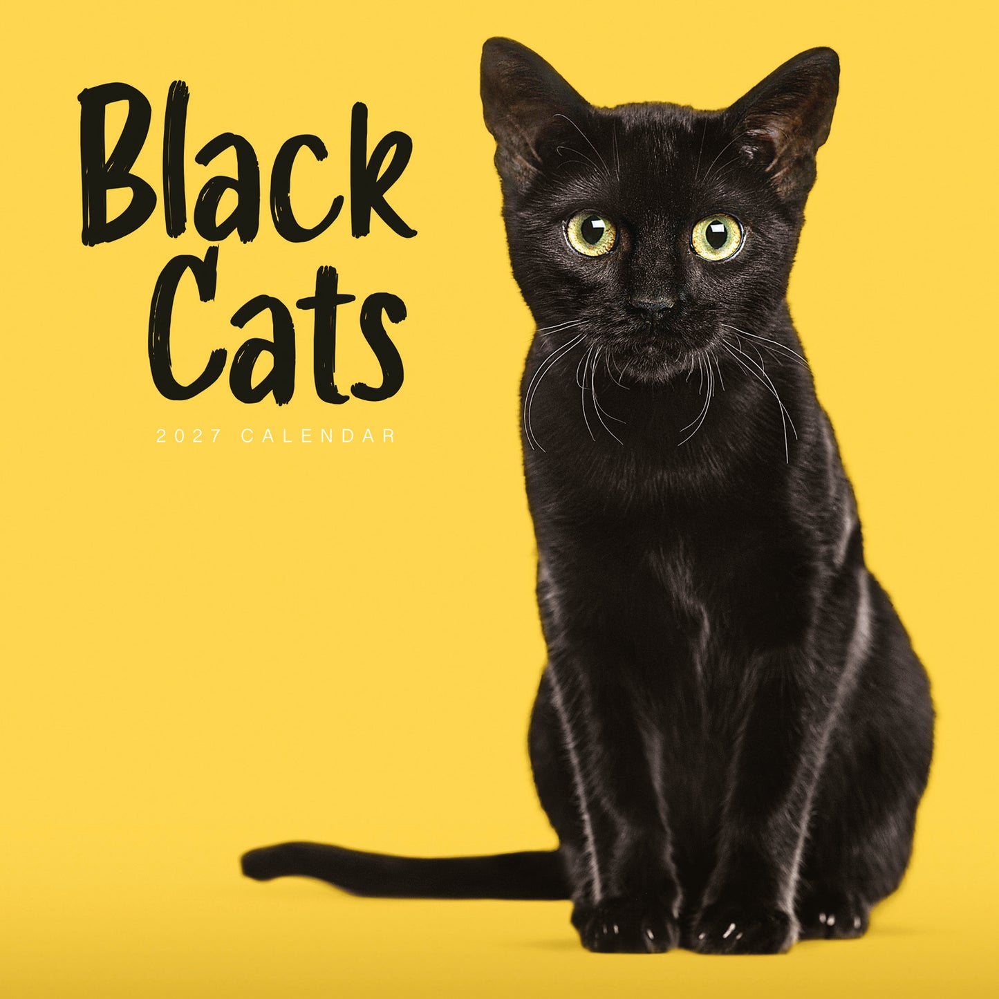 Black cats wall calendar 2027