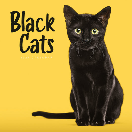 Black cats wall calendar 2027