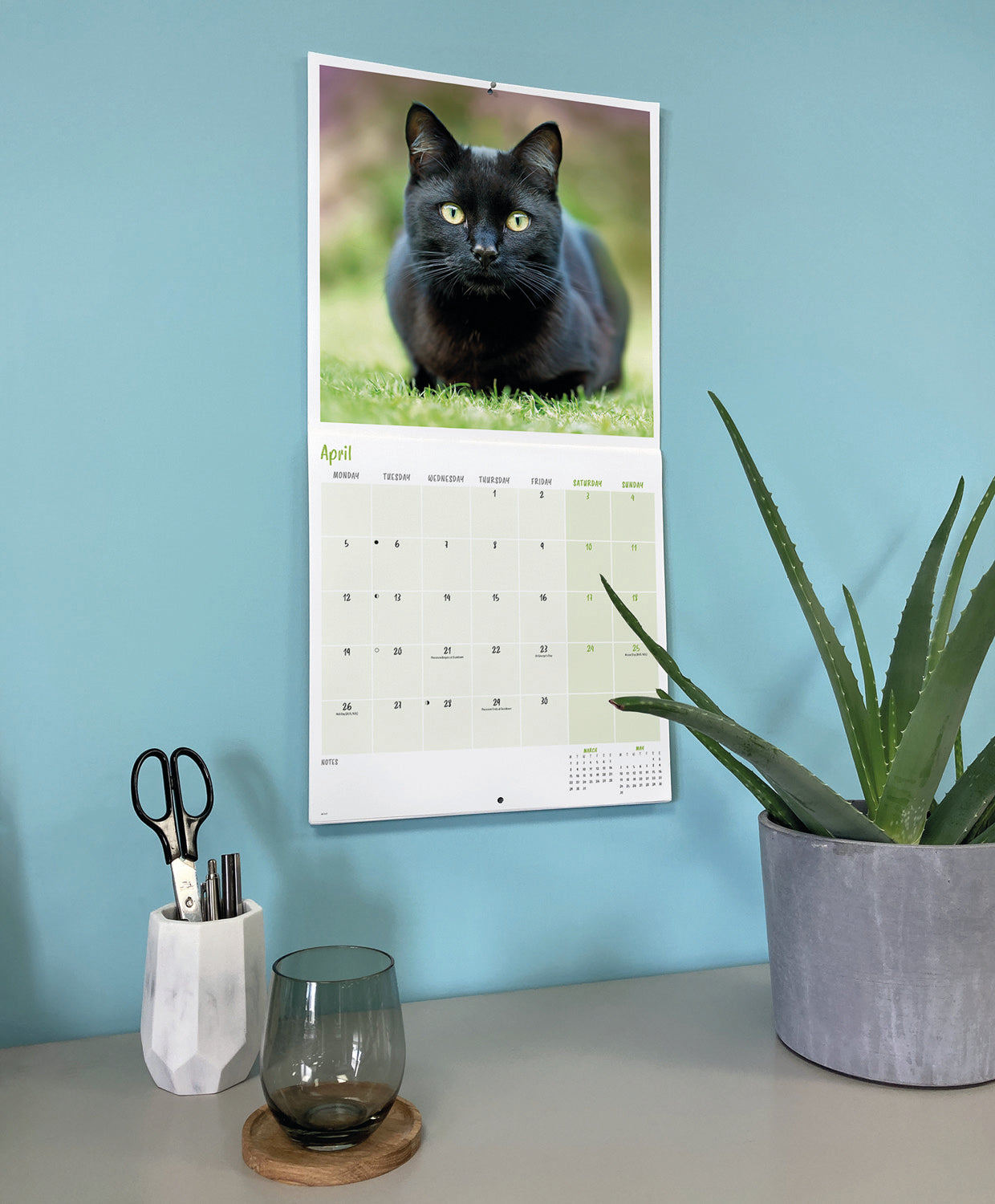 Black cats wall calendar 2027