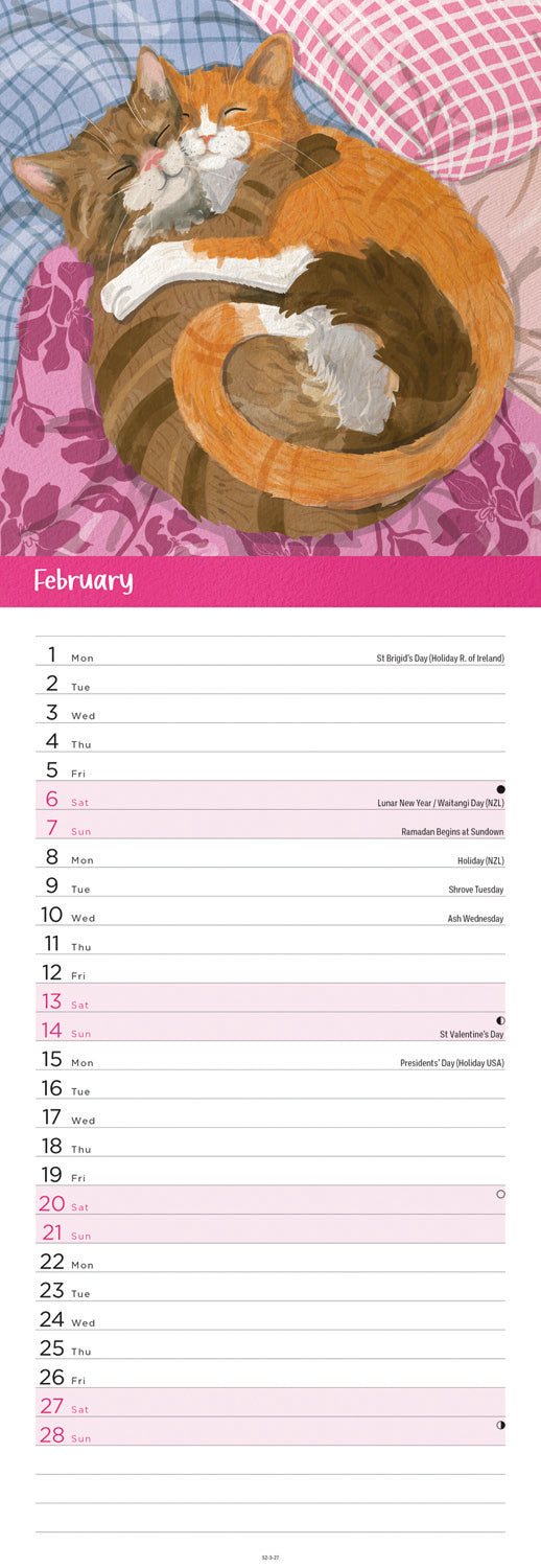 Cats illustrated slim calendar 2027