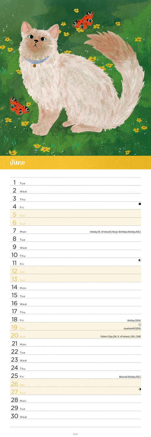 Cats illustrated slim calendar 2027
