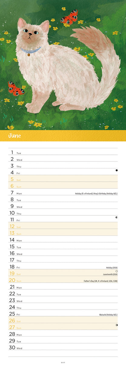 Cats illustrated slim calendar 2027