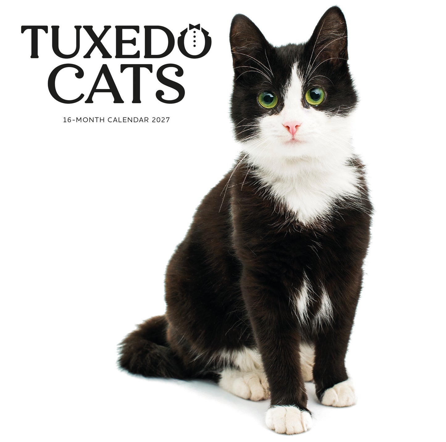 Tuxedo cats wall calendar 2027