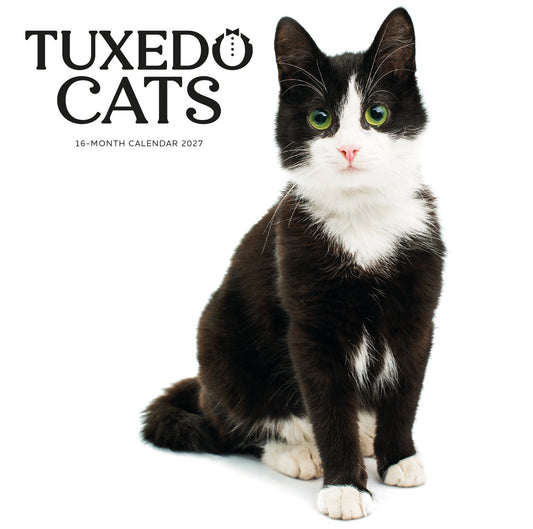 Tuxedo cats wall calendar 2027