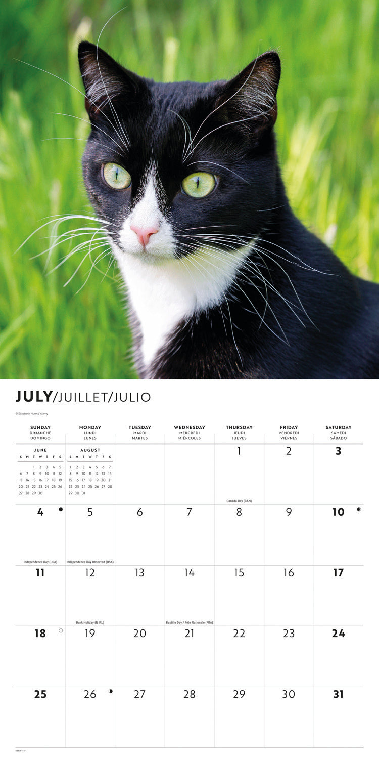 Tuxedo cats wall calendar 2027