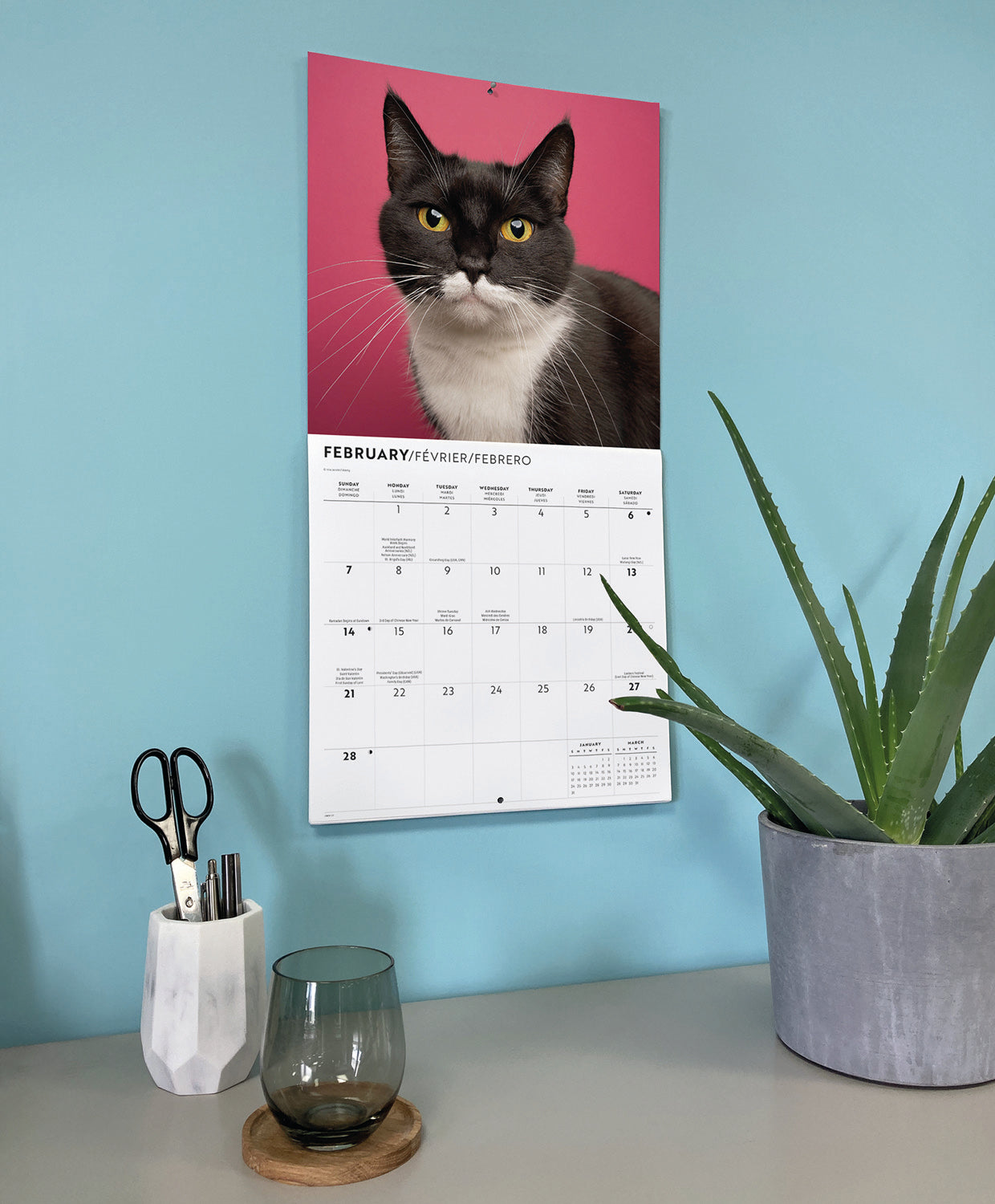 Tuxedo cats wall calendar 2027
