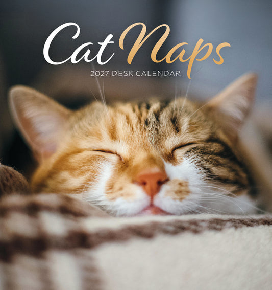 Cat naps easel desk calendar 2027