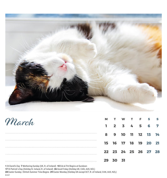 Cat naps easel desk calendar 2027