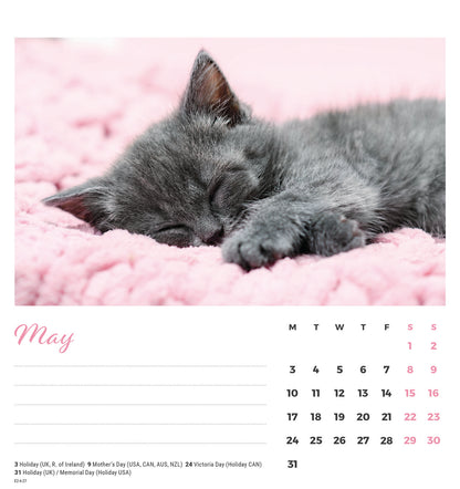 Cat naps easel desk calendar 2027