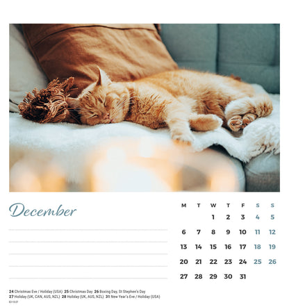Cat naps easel desk calendar 2027