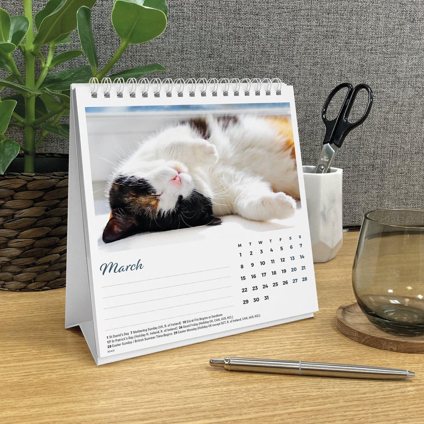 Cat naps easel desk calendar 2027
