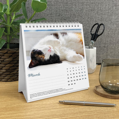 Cat naps easel desk calendar 2027