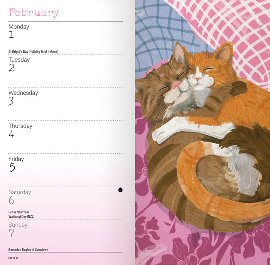 Cats slim diary 2027