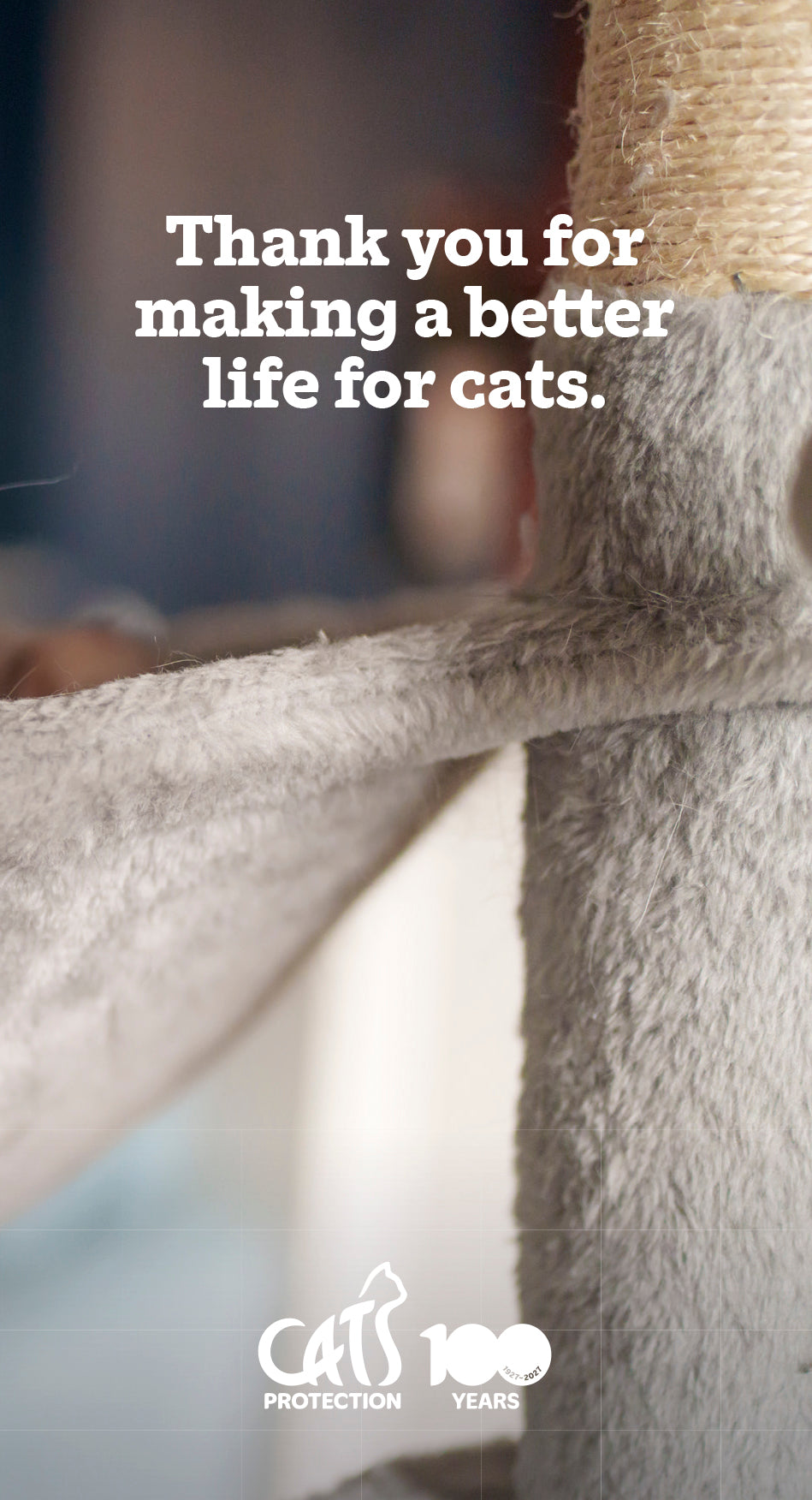 Cats Protection slim diary 2027
