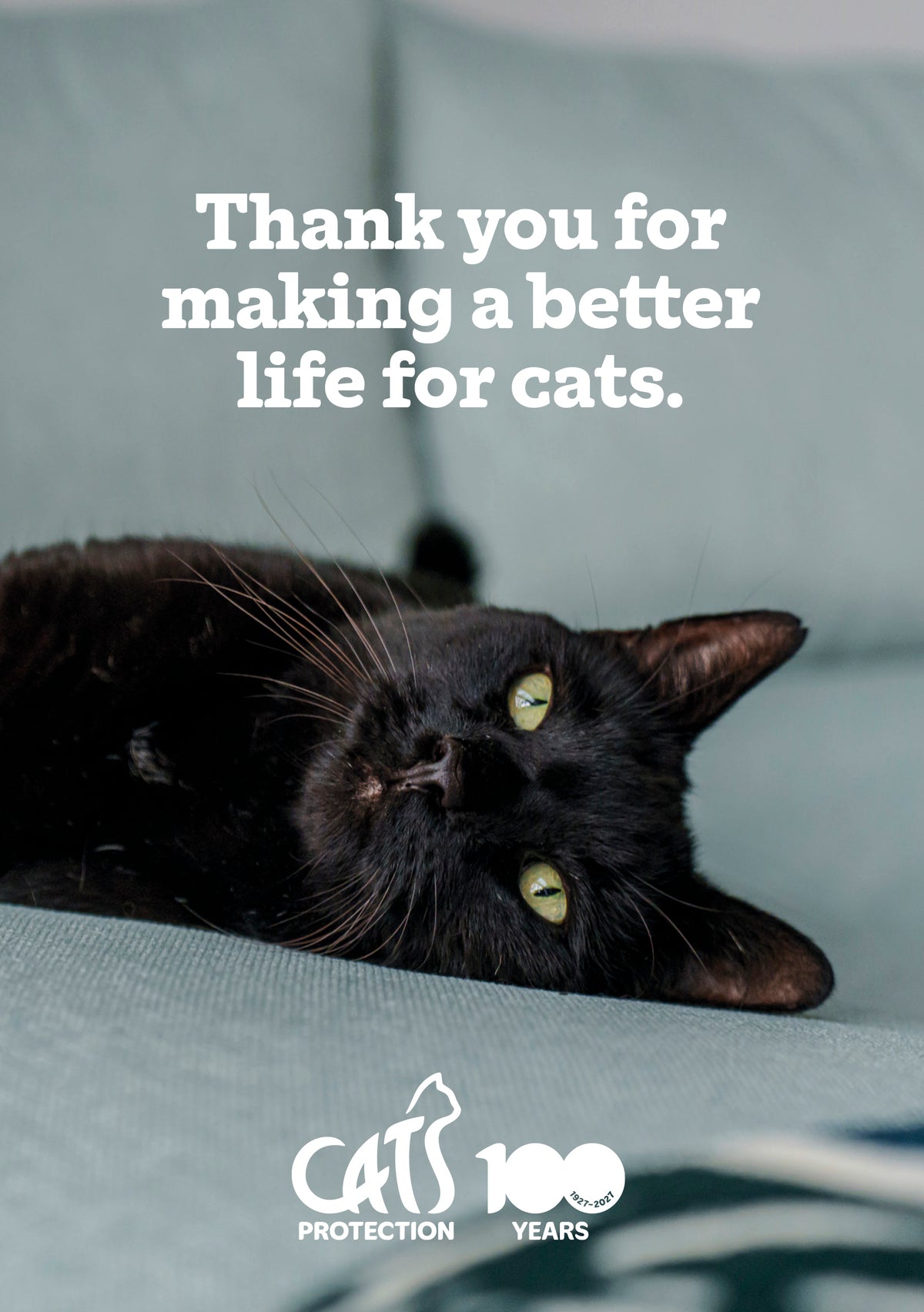 Cats Protection A5 diary 2027