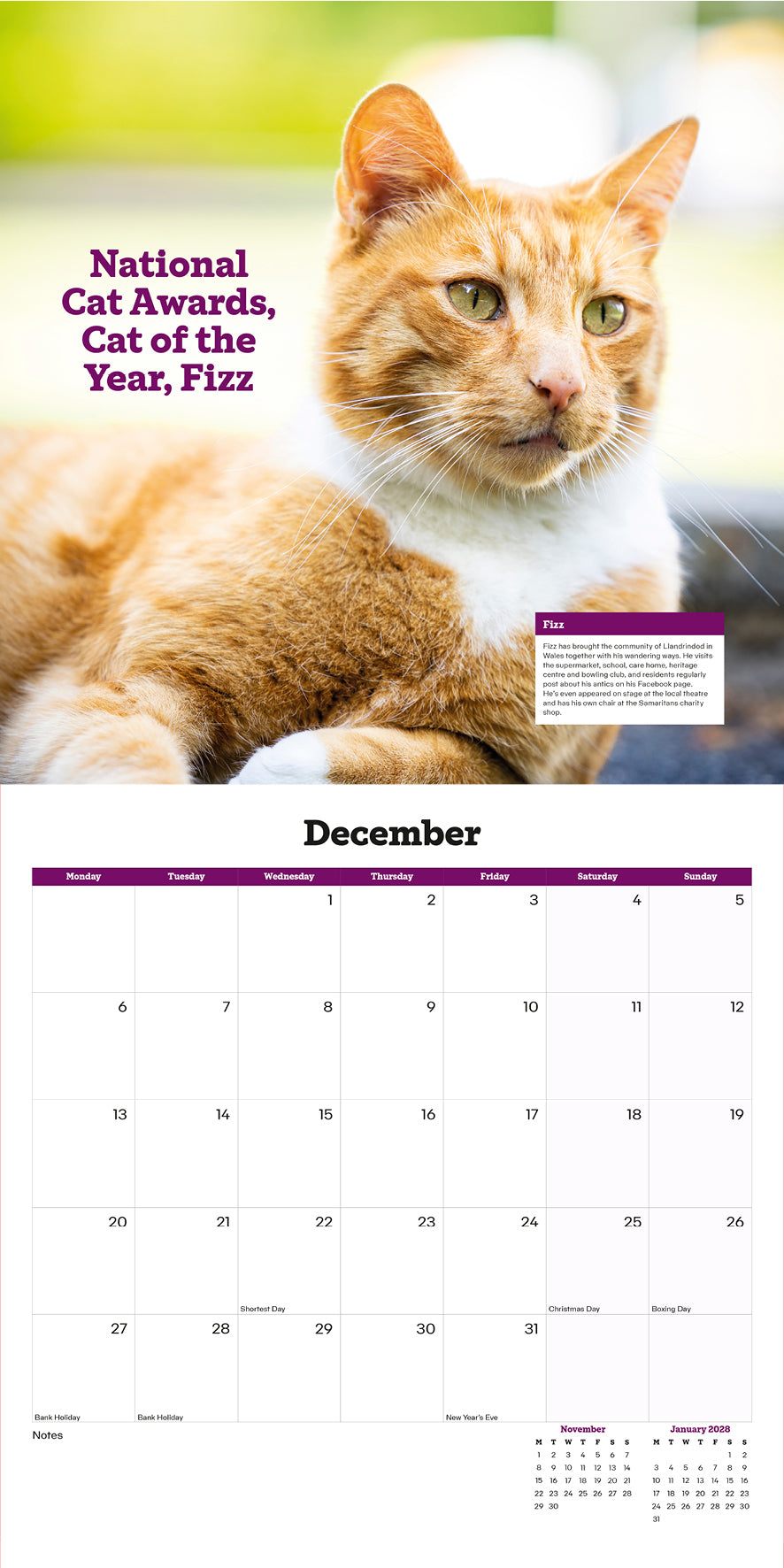 Cats Protection cats calendar 2027