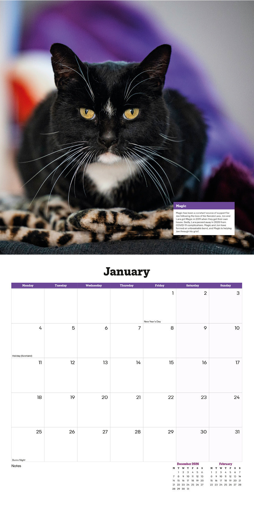 Cats Protection cats calendar 2027