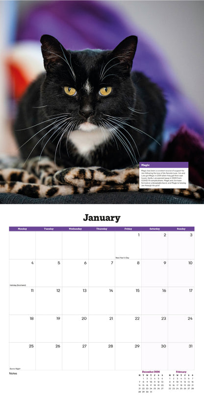 Cats Protection cats calendar 2027