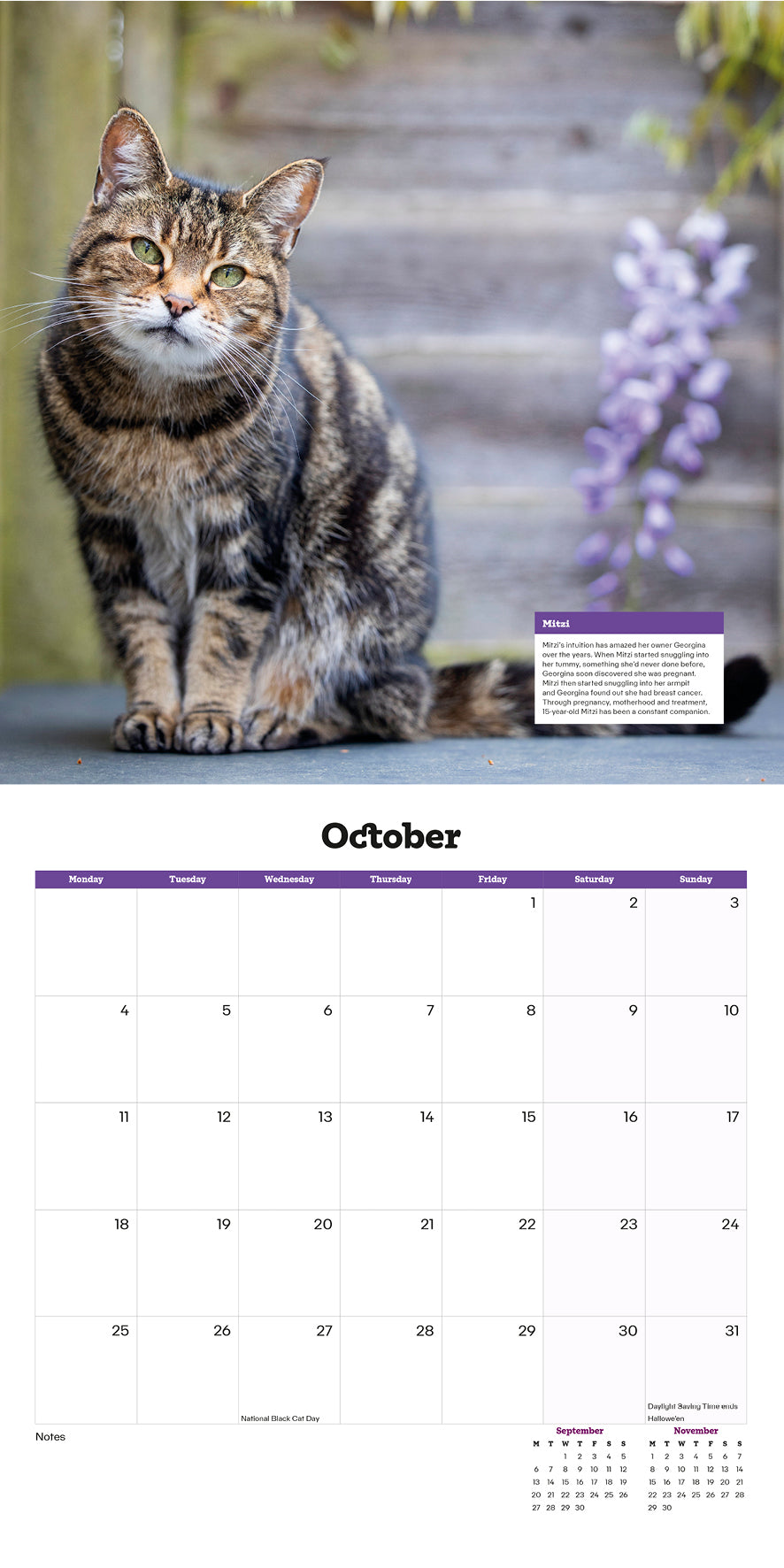 Cats Protection cats calendar 2027