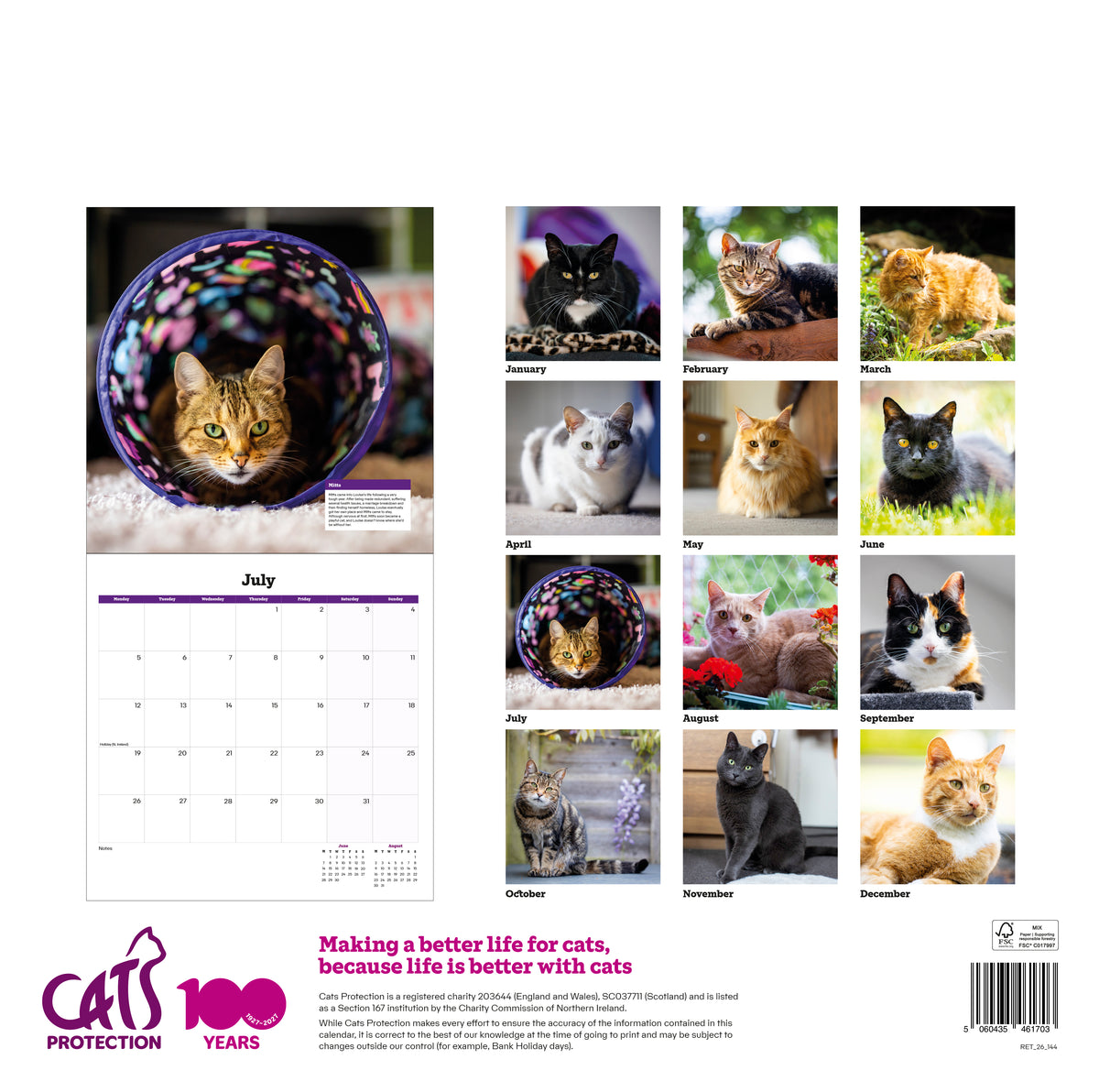 Cats Protection cats calendar 2027